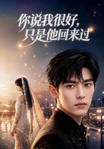 你说我很好，只是他回来过(全集)