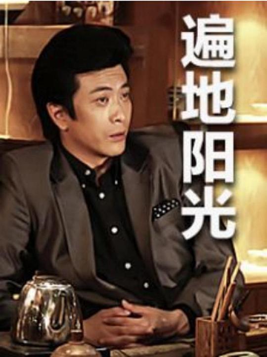 遍地阳光 第36集(大结局)