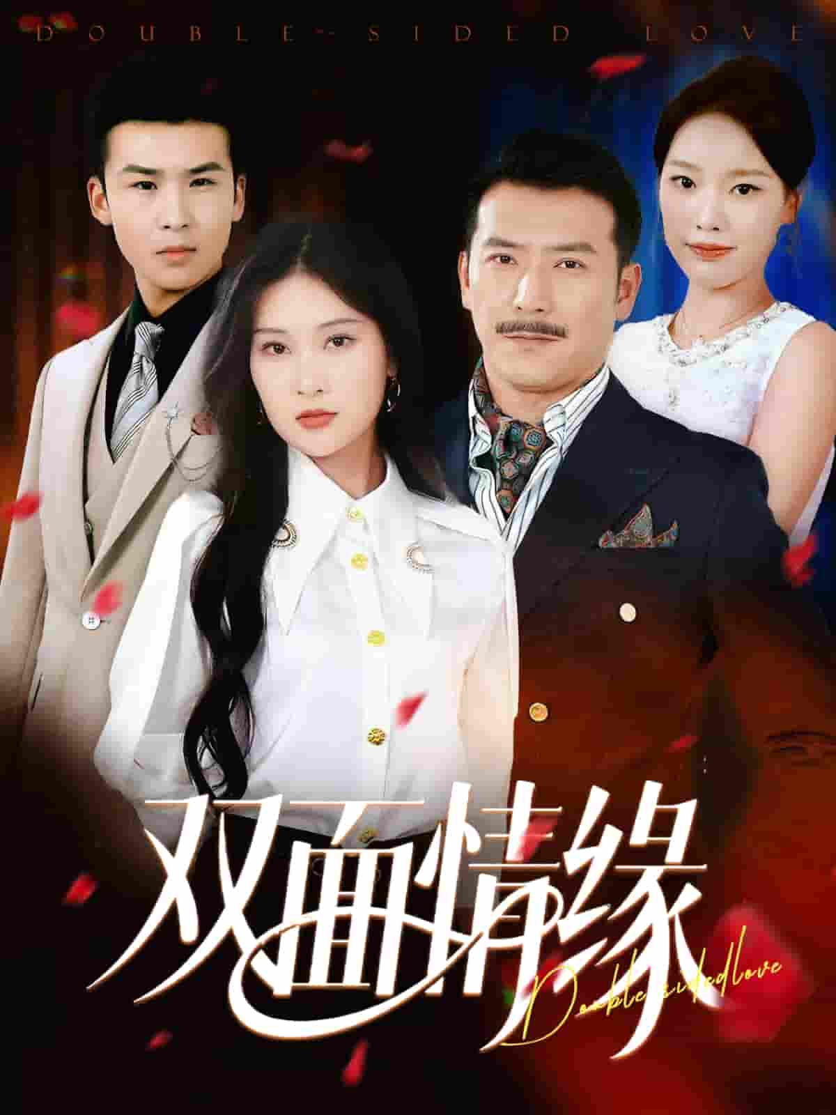 双面情缘(全集)