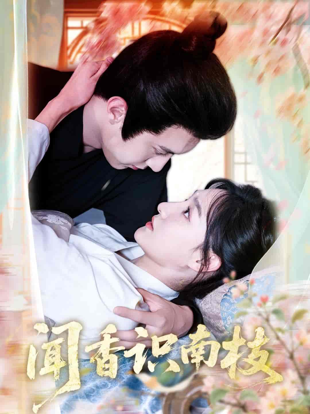 闻香识南枝(全集)